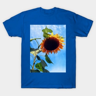 Sunflower and Sky T-Shirt